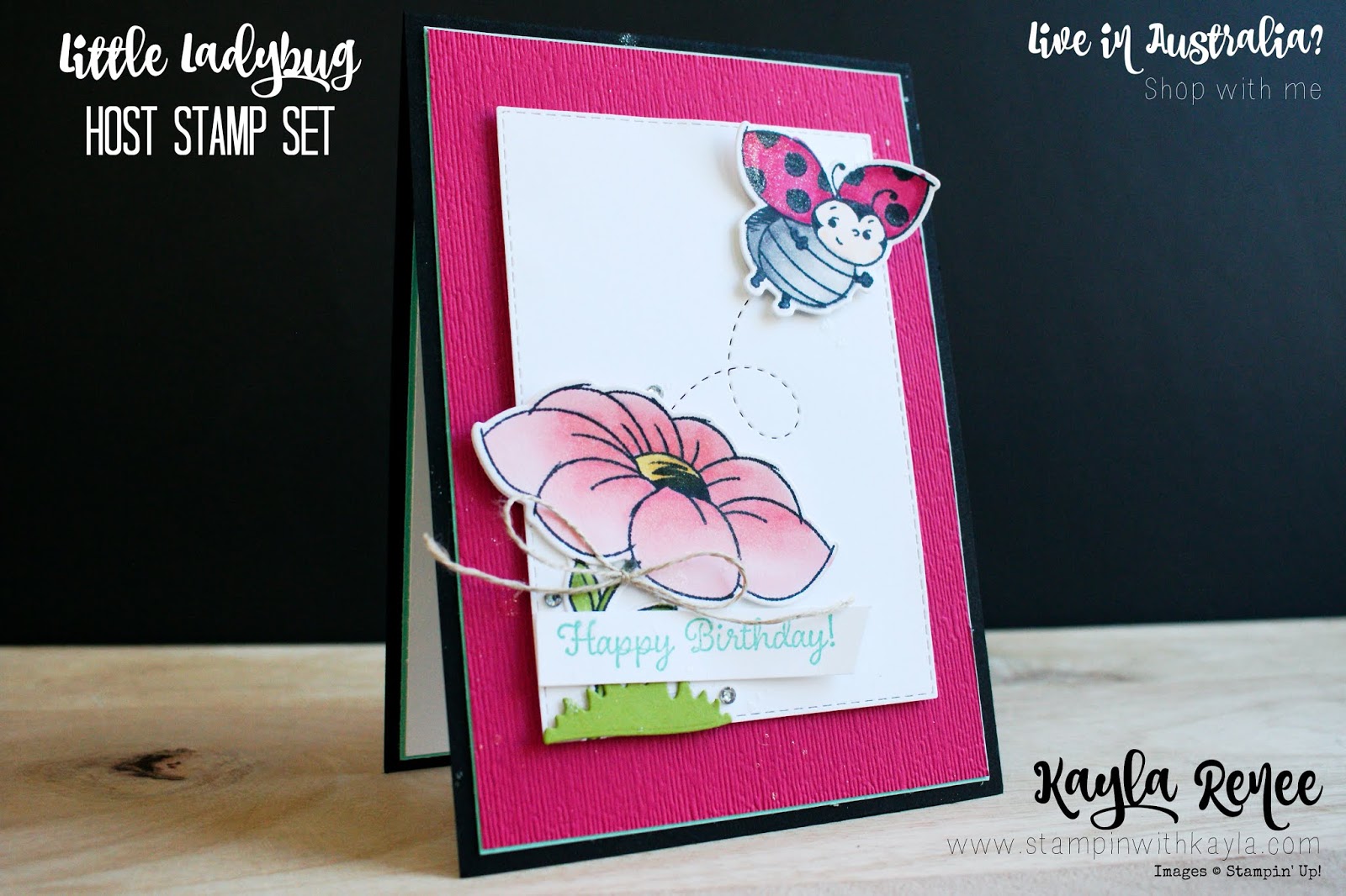 Little Ladybug ~ Happy Birthday Card
