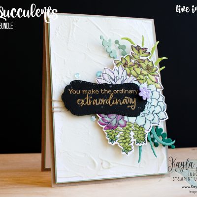 Stampin’ Up! ~ Potted Succulents ~ Embossed Cards