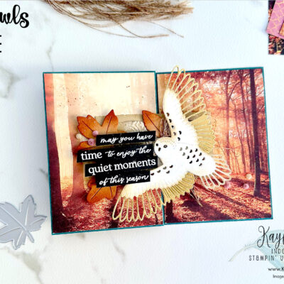 How To Make a Fancy Fold Card To Make This New Paper Really SHINE! Stampin’ Up! Winter Owls
