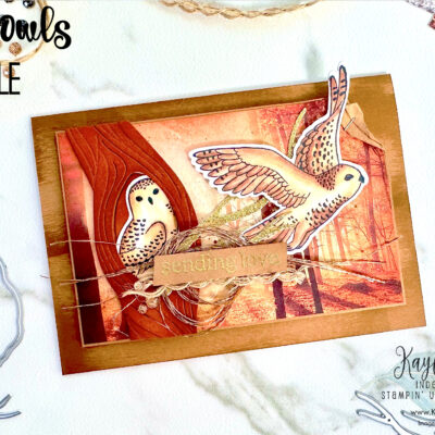 How to Get Inspiration for Your Card Making Projects | Stampin’ Up! Winter Owls