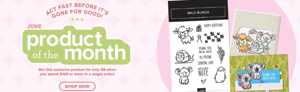 Stampin’ Up! June Product of the Month banner featuring the Wild Bunch stamp set, sample handmade cards, and a special customer offer available with qualifying orders.